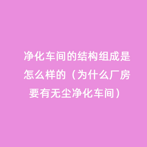 净化车间的结构组成是怎么样的（为什么厂房要有无尘净化车间）